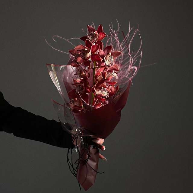 Cymbidium